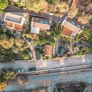 Ultava Türkiye