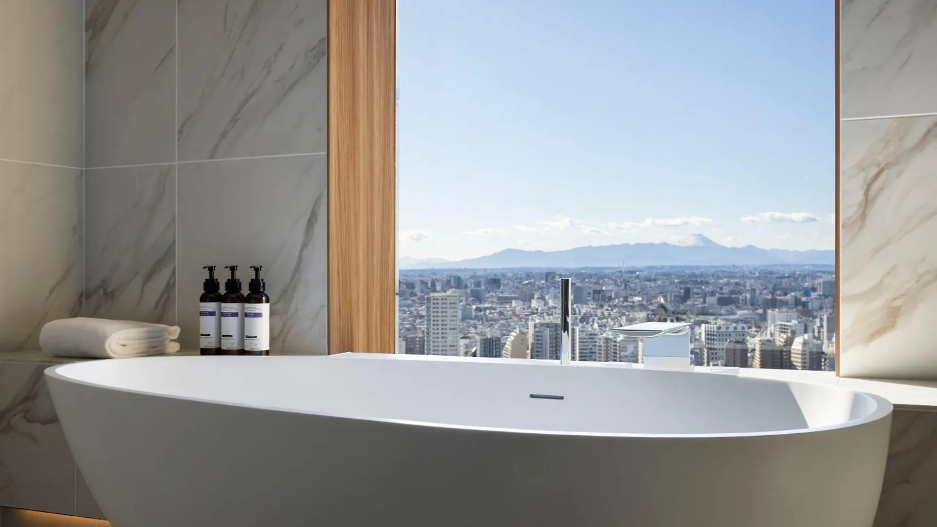 Hyatt Regency Tokyo Otel
