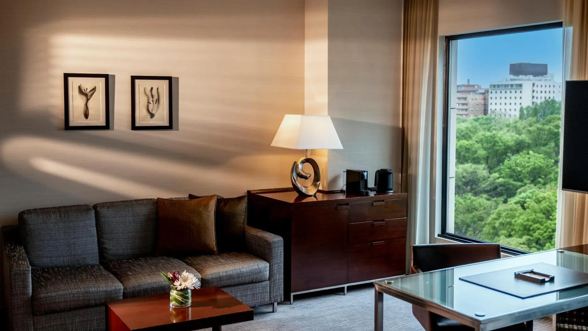 Hotel Hyatt Regency Tokio