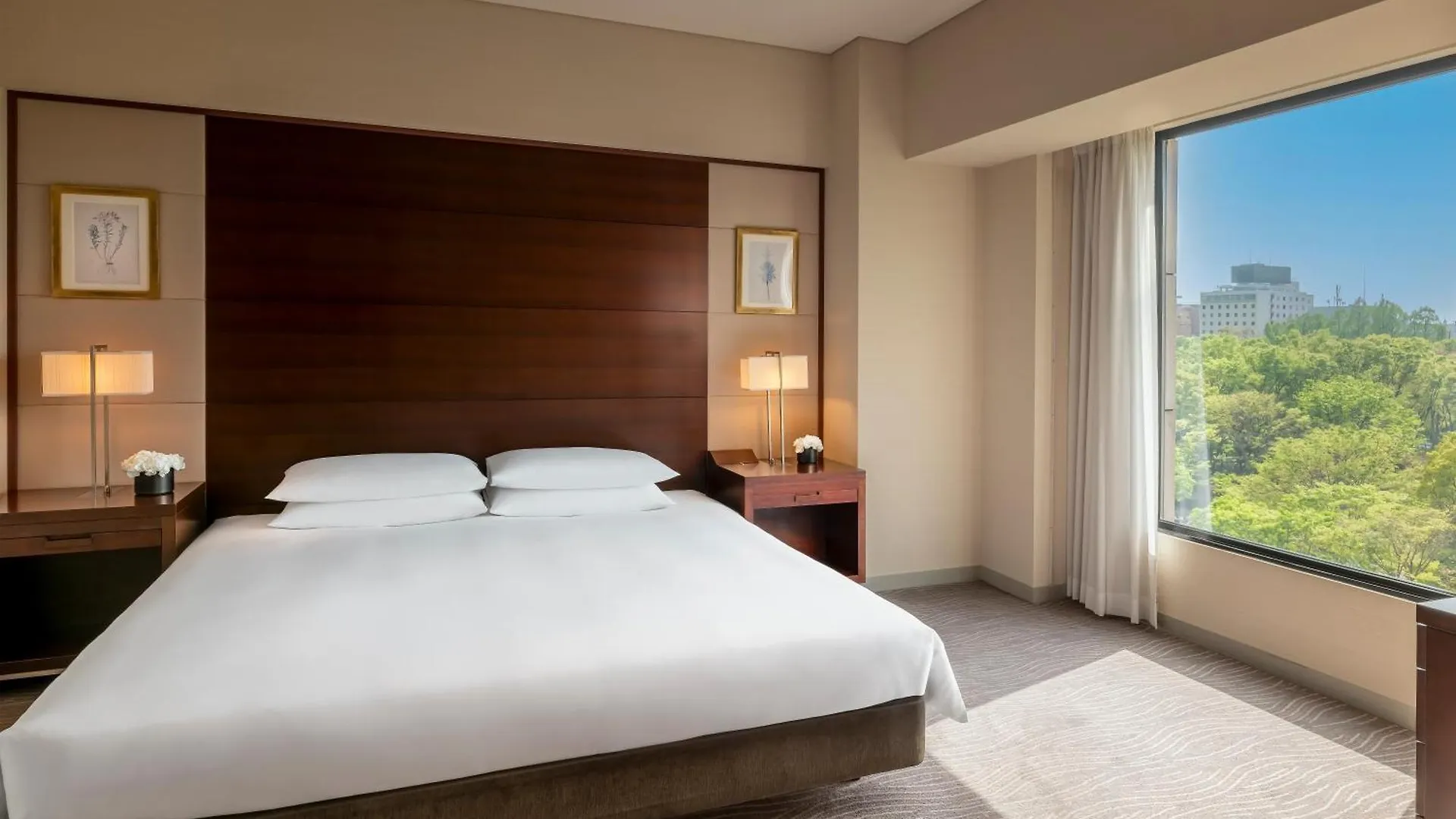 Hotel Hyatt Regency Tokio 4*,  Japón