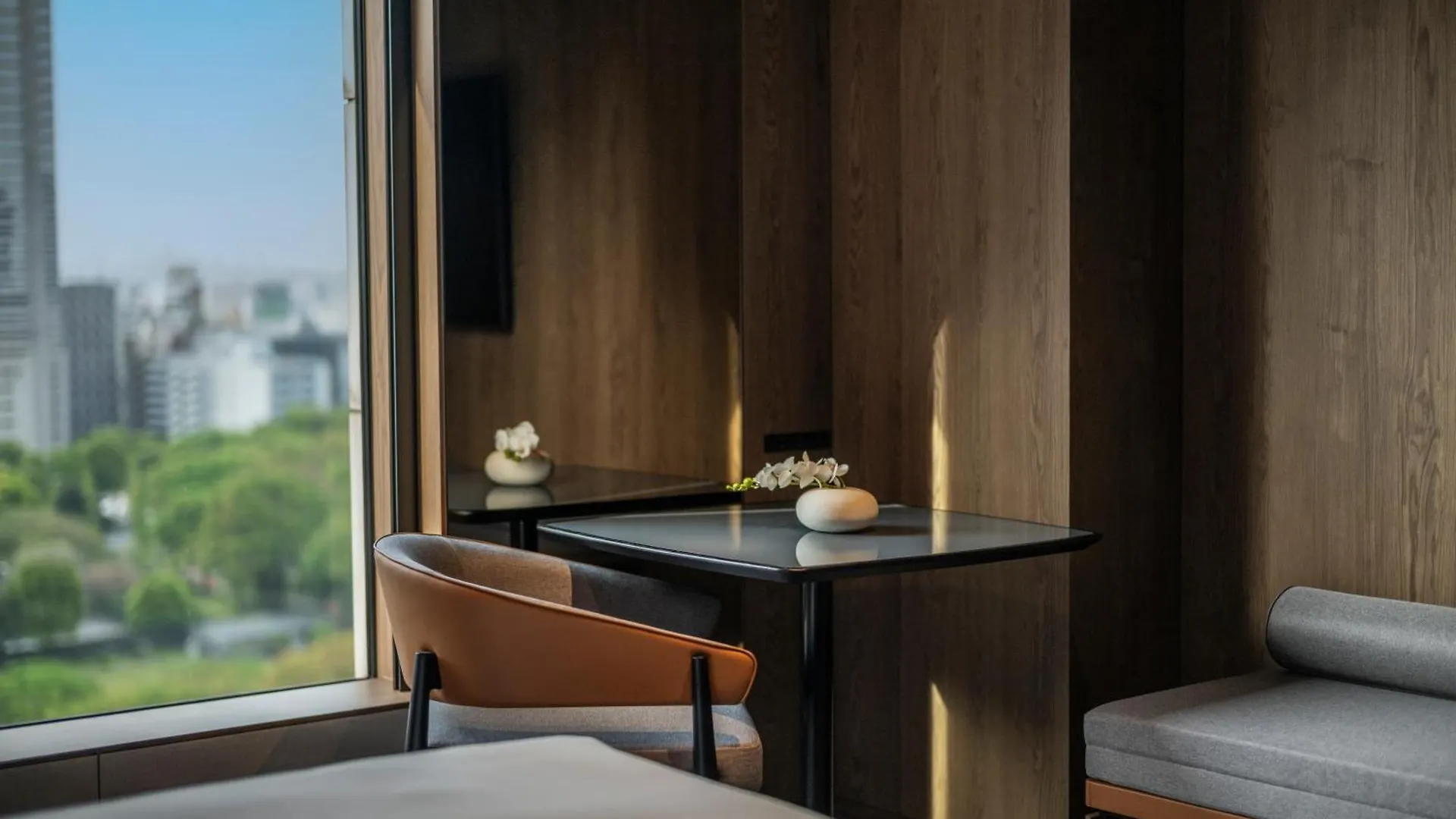 Hotel Hyatt Regency Tokio
