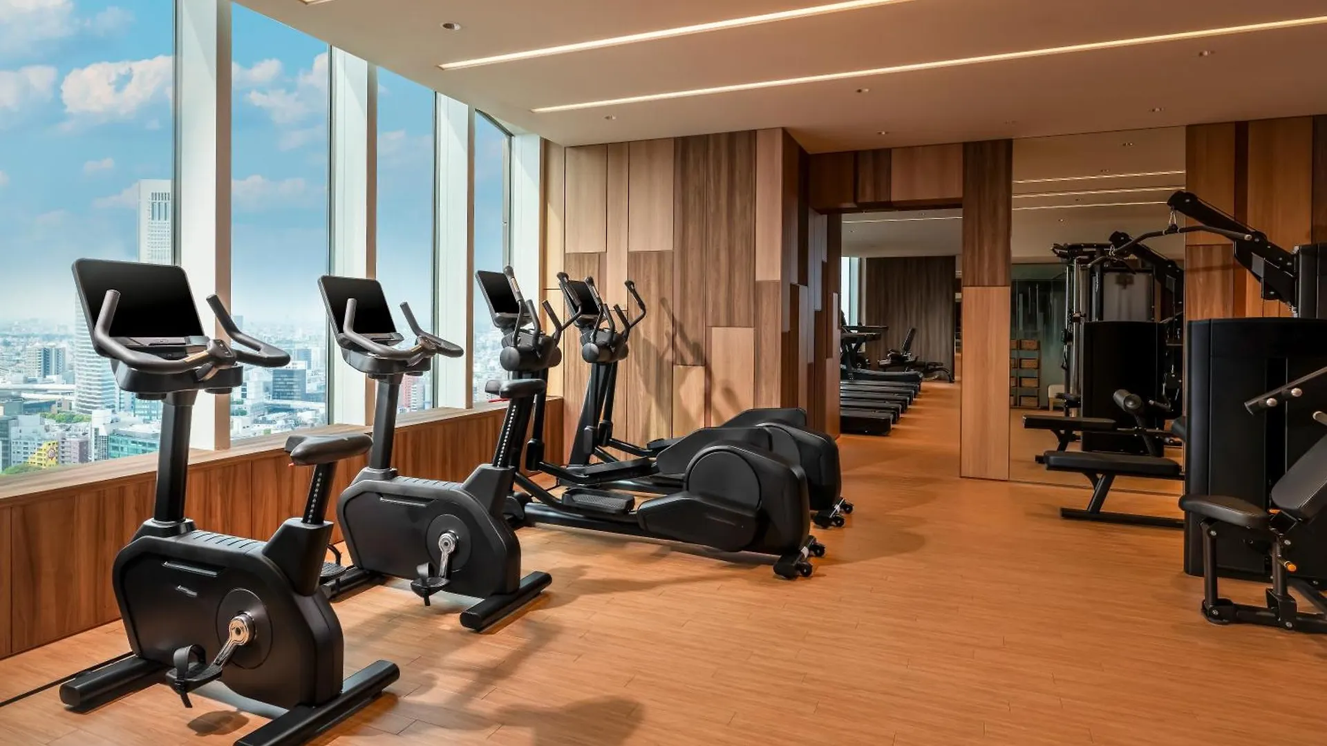 Hotel Hyatt Regency Tokio